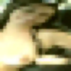 Yolène, femme de 30 ans propose rencontre adulte à Noailly