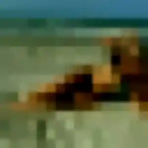 Photo de Cassandra à Nointel (33 ans) - rencontre adulte anonyme