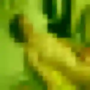 Photo exclusive de Fama, 33 ans à Noirmoutier-en-l'Île - rencontre sans lendemain