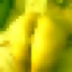 Photo de Patience à Noisy-sur-Oise (25 ans) - rencontre adulte anonyme