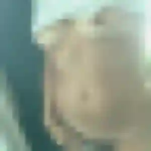 Khoudia, 20 ans, cherche un rencontre adulte à Noizay