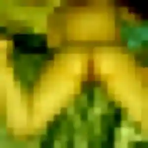 Découvre Mélissa, 43 ans à Nomain gratuitement