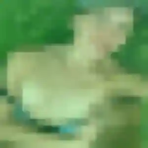Xavière, 41 ans, dispo pour rencontre adulte à Nommay