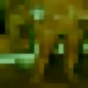 Photo de Léonie à Nontron (25 ans) - rencontre adulte discret