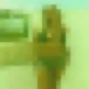 rencontre adulte à Nonville : photo de Sarah, 36 ans - accès libre