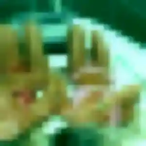 Tabitha, 24 ans, en ligne à Nortkerque pour un rencontre adulte