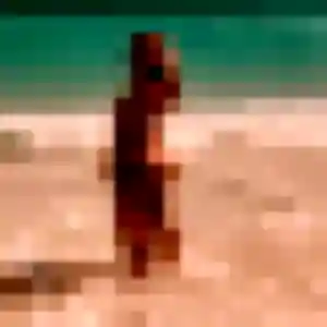 Photo perso de Constance, 37 ans à Noves - plan discret