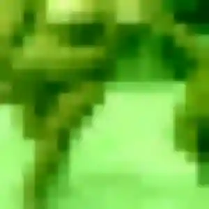 Photo de Funke à Noves (35 ans) - rencontre adulte gratuit