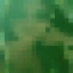 Nafi (34 ans) à Noves cherche une rencontre maintenant