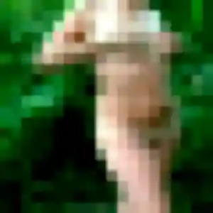 Fanta de Obenheim, 40 ans - rencontre adulte en toute liberté