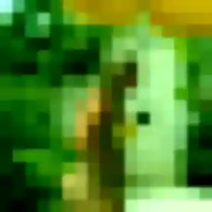 Solène, 36 ans, cherche un rencontre adulte à Œuilly