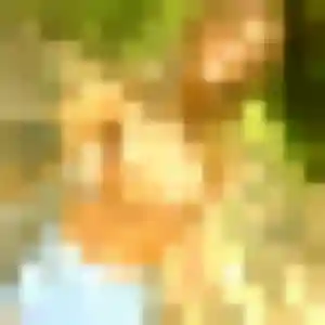 Photo privée de Ketsia, 34 ans à Offranville - plan discret