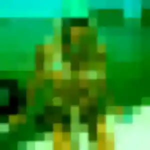 Constance, fille de 36 ans propose rencontre adulte à Ognes