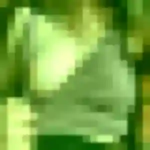 Wivine, 20 ans, veut un rencontre adulte à Ollières