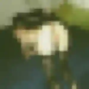 Photo de Issa à Ondres (36 ans) - rencontre adulte sans inscription