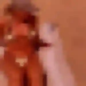 Photo de Aurore à Orbigny (41 ans) - rencontre adulte gratuit