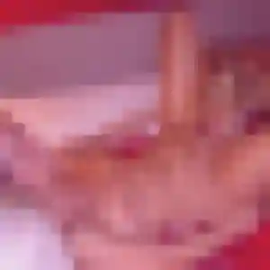 Evelyne, 31 ans, dispo pour rencontre adulte à Orbigny