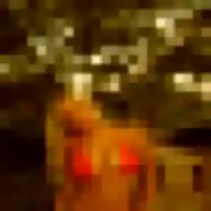 Blessing, 21 ans, veut un rencontre adulte à Orgeval