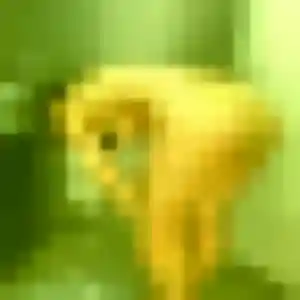 Maimouna, fille de 43 ans veut rencontre adulte à Orgeval