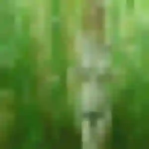 Photo de Océane à Ornaisons (41 ans) - rencontre adulte sans inscription