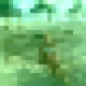 Yankuba, 40 ans, disponible à Osthoffen pour une rencontre coquine