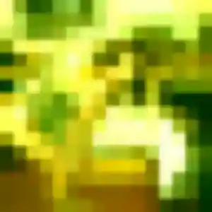 Photo perso de Monique, 33 ans à Outreau - rencontre sans lendemain