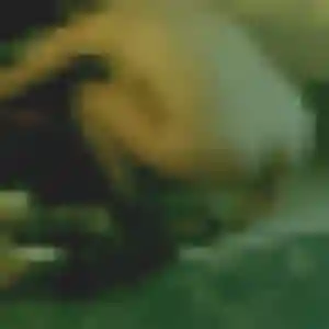 Photo de Omolara à Pact (33 ans) - rencontre adulte gratuit
