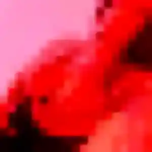 rencontre adulte à Paimpol : photo de Precious, 30 ans - accès libre