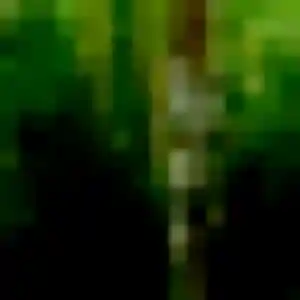 Découvre Zoé, 43 ans à Palaminy gratuitement