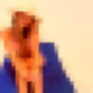 Contacte Dieynaba, 20 ans à Panazol gratuitement