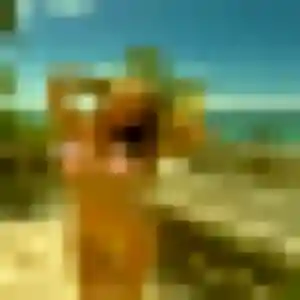 Photo exclusive de Isis, 31 ans à Pannecé - rencontre coquine