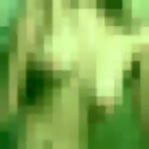 Profil de Shanna à Papaichton (41 ans) - rencontre adulte gratuit