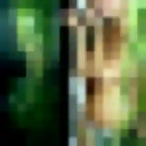 Sylvie, 36 ans, en ligne à Paraza pour une rencontre coquine