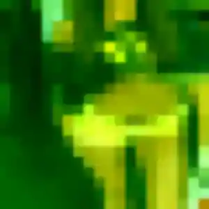 Adélaïde, fille de 41 ans cherche rencontre adulte à Parent