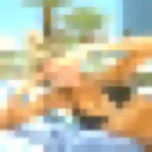 Tatu, femme de 42 ans propose rencontre adulte à Parent