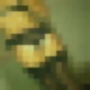 Brigitte, femme de 21 ans veut rencontre adulte à Parisot