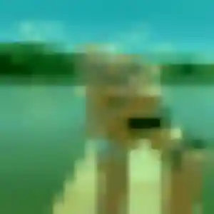 rencontre adulte à Paulhan : photo de Ehui, 45 ans - inscription gratuite