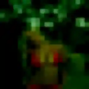 Profil de Dieynaba à Pavie (45 ans) - rencontre adulte discret