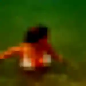 Photo privée de Chancelle, 29 ans à Péchabou - rencontre coquine