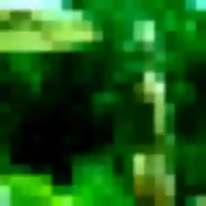 Découvre Tabitha, 38 ans à Péchabou en privé