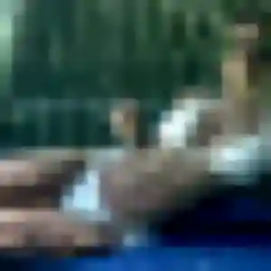 Profil de Ketsia à Pelleautier (19 ans) - rencontre adulte gratuit