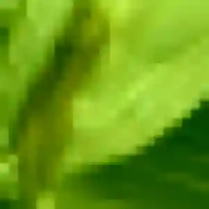 Dienaba (38 ans) à Penchard propose un rencontre adulte ce soir