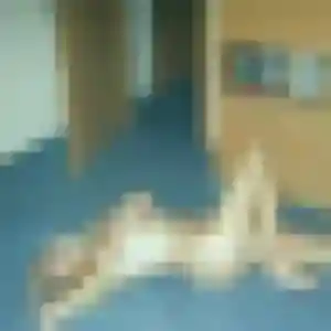 Lola, femme de 44 ans veut rencontre adulte à Peri