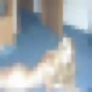 Photo perso de Ndèye, 26 ans à Périgny - rencontre coquine