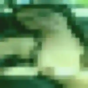 Rencontre Priscilla, 42 ans à Pérouse gratuitement