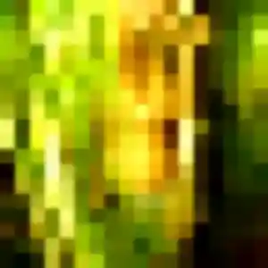 Rencontre Perrine, 39 ans à Perrier en privé