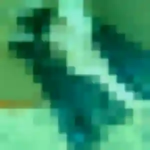 Jolie Bousso, 40 ans à Persac - la contacter