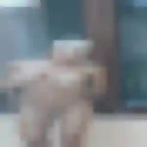 Photo de Yasmina à Petit-Noir (35 ans) - rencontre adulte gratuit