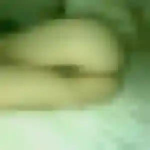 Photo perso de Stéphanie, 37 ans à Peumerit - rencontre coquine