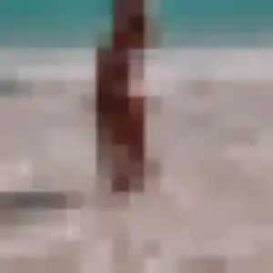 Belle Wilda, 33 ans à Phalempin - voir sa photo